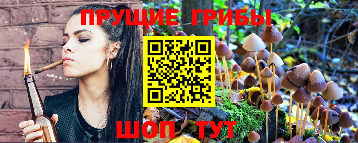 Псков  Галлюциногенные грибы Cubensis  Вход с VPN 